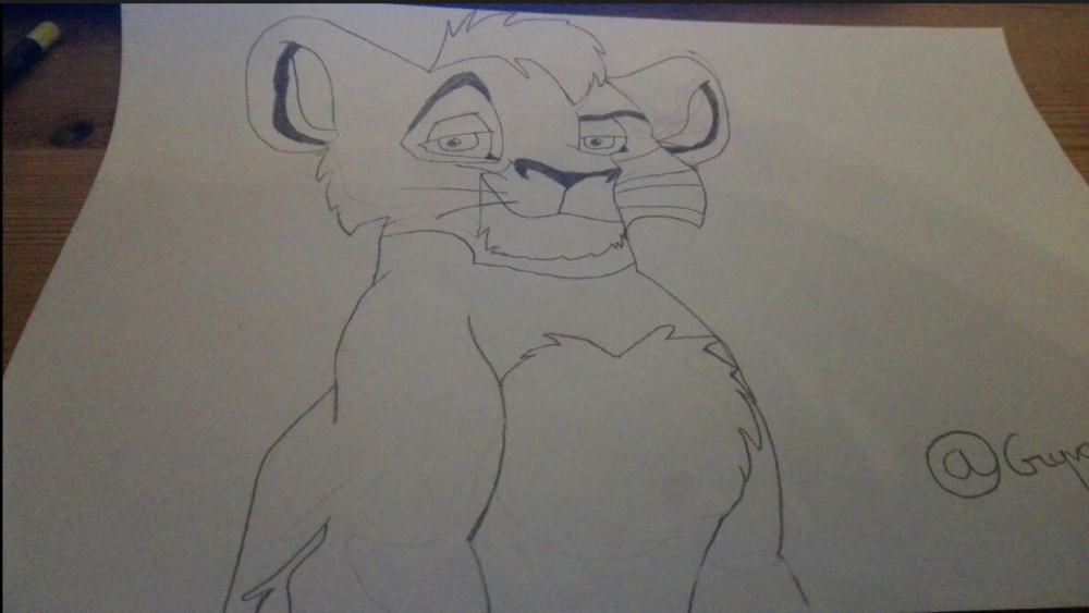 1er coup de crayon