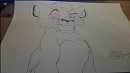 1er coup de crayon