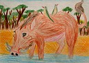 Pumba Real Version.