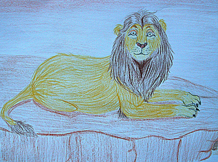 Simba, realistic.