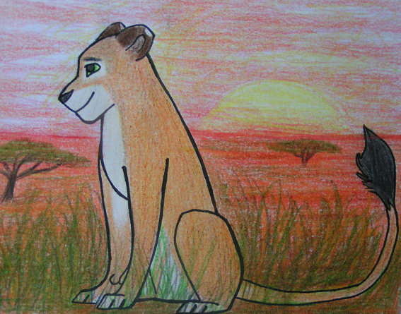 Gift for Mogo Zoo