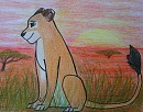 Gift for Mogo Zoo