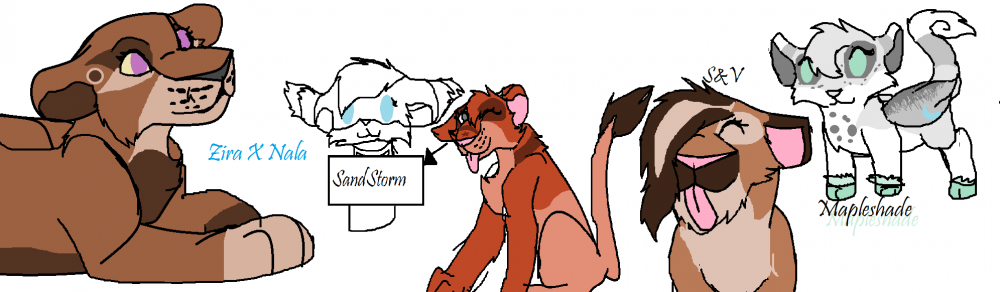 Custom adopts