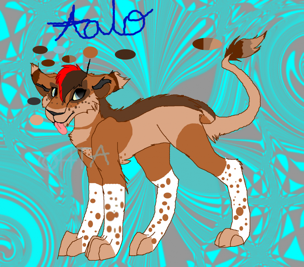 my lionsona