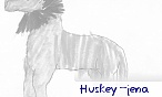 huskey_jena