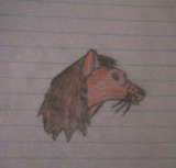 Prince Of The Pridelands, Kopa