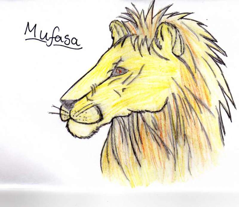 Coloured Mufasa