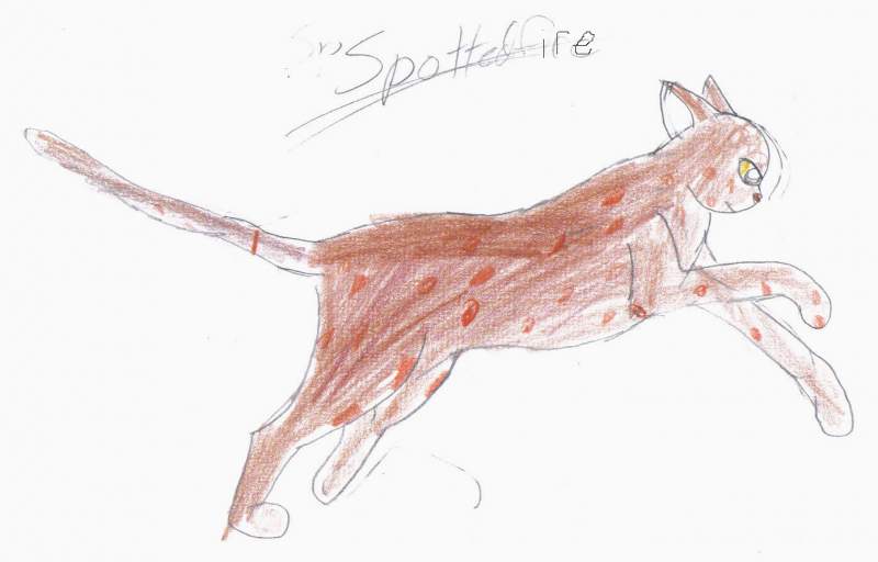 Spottedfire