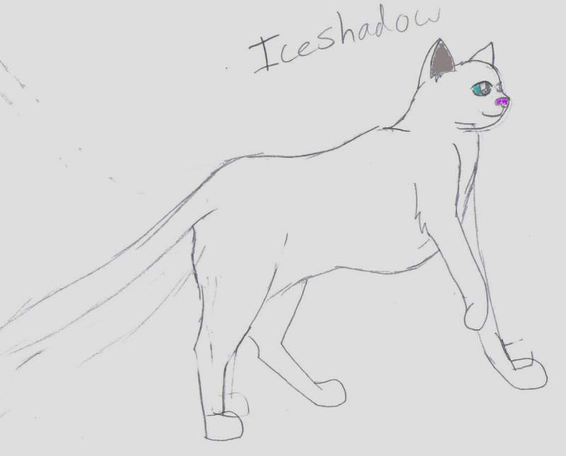 Iceshadow