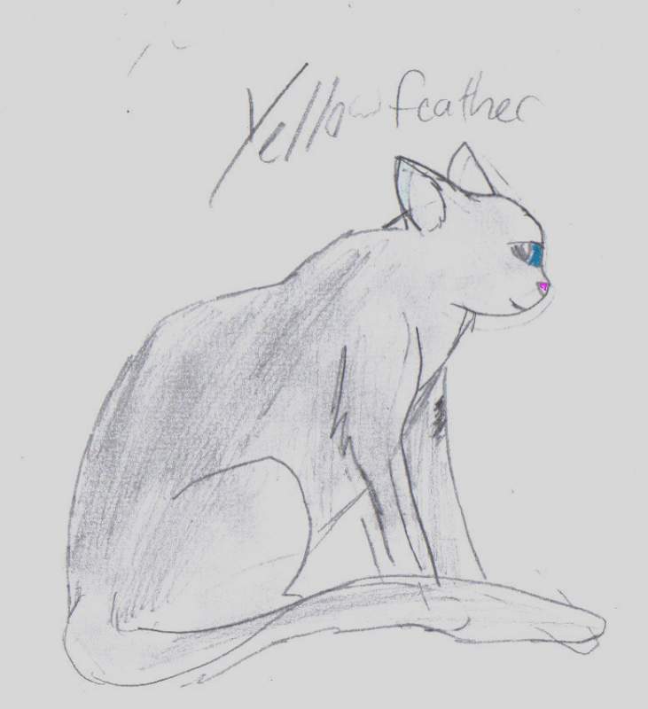 Yellowfeather