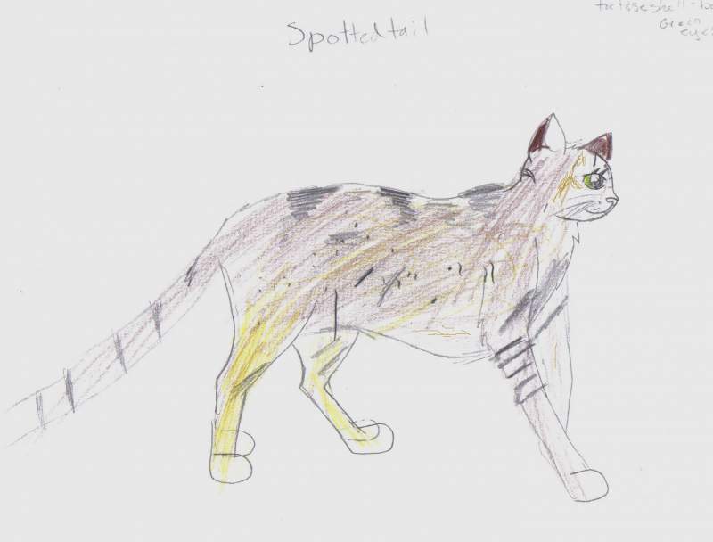 Spottedtail
