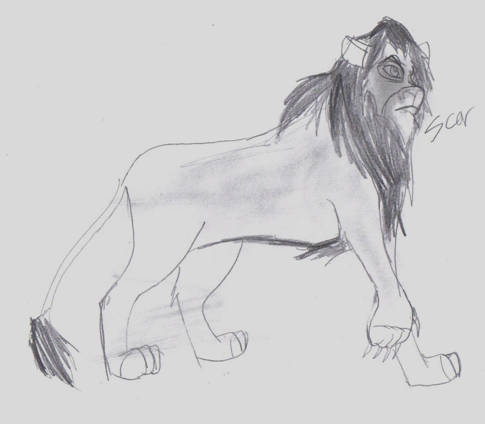 Scar 