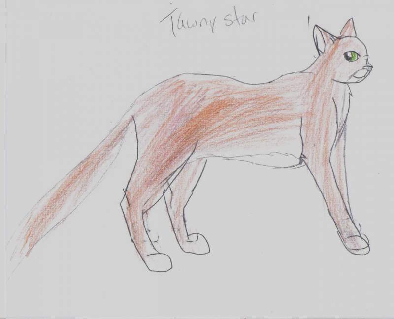 Tawnystar