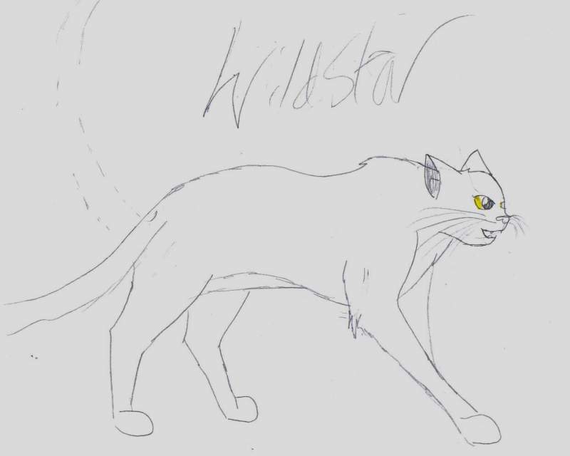 Wildstar