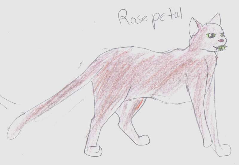 Rosepetal