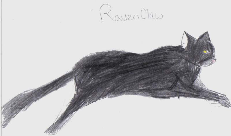 Ravenclaw