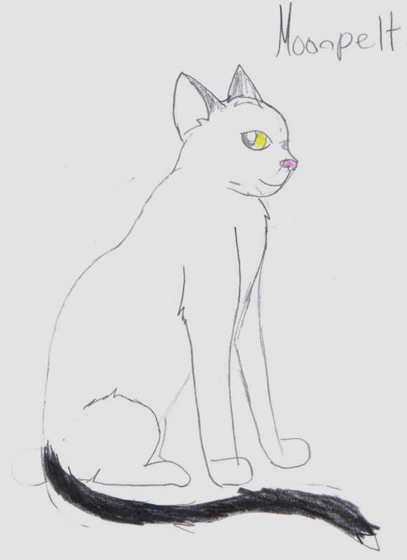 Moonpelt