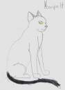 Moonpelt