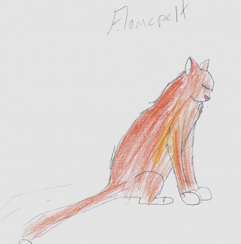 Flamepelt