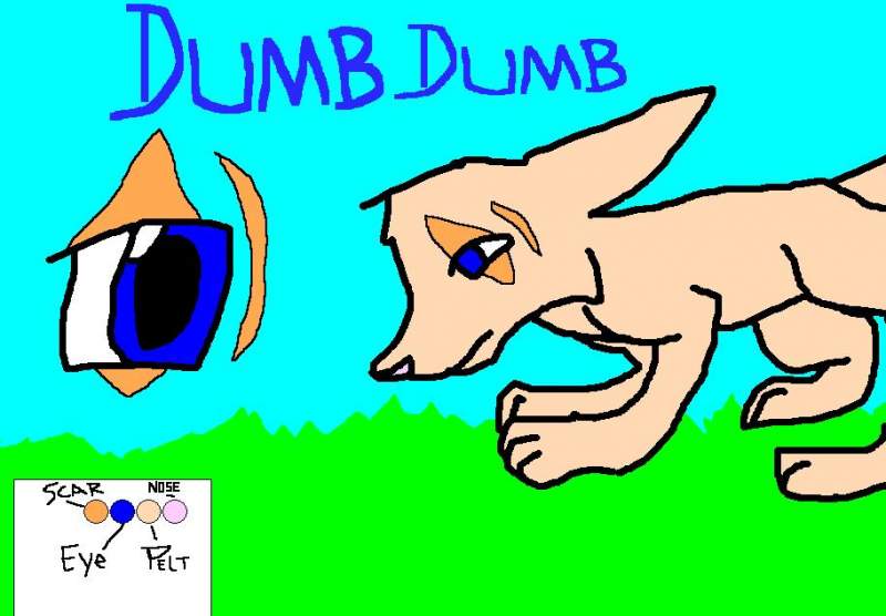 Dumb Dumb