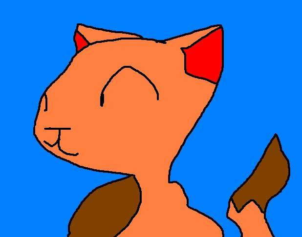 cat