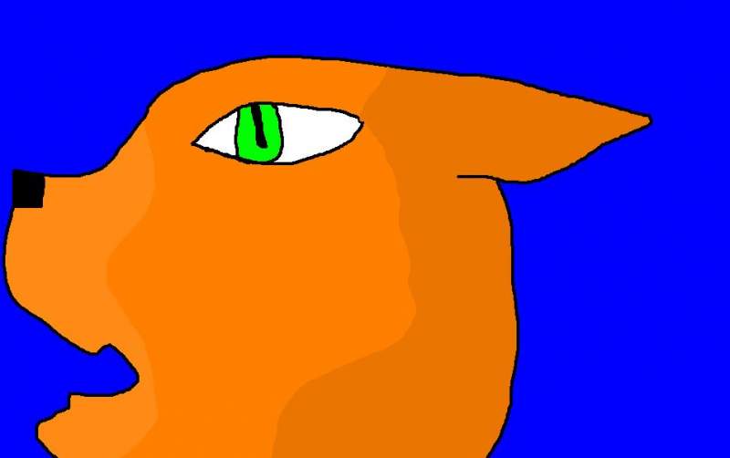 cat growling