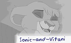 Sonic-and-Vitani