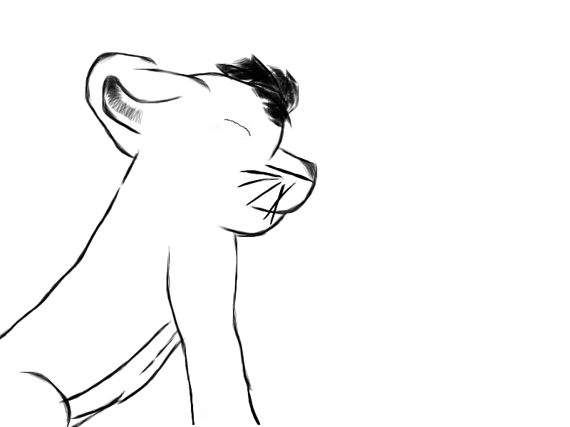 Taka Quick Sketch
