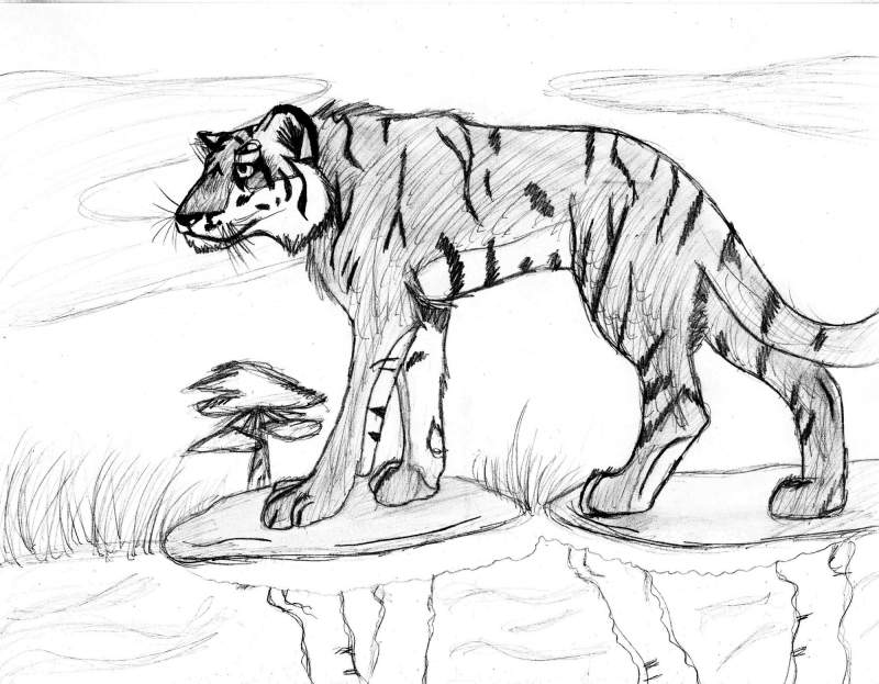 Tiger