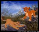 Simba and Nala play
