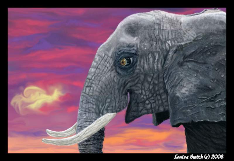 March of the Elephant