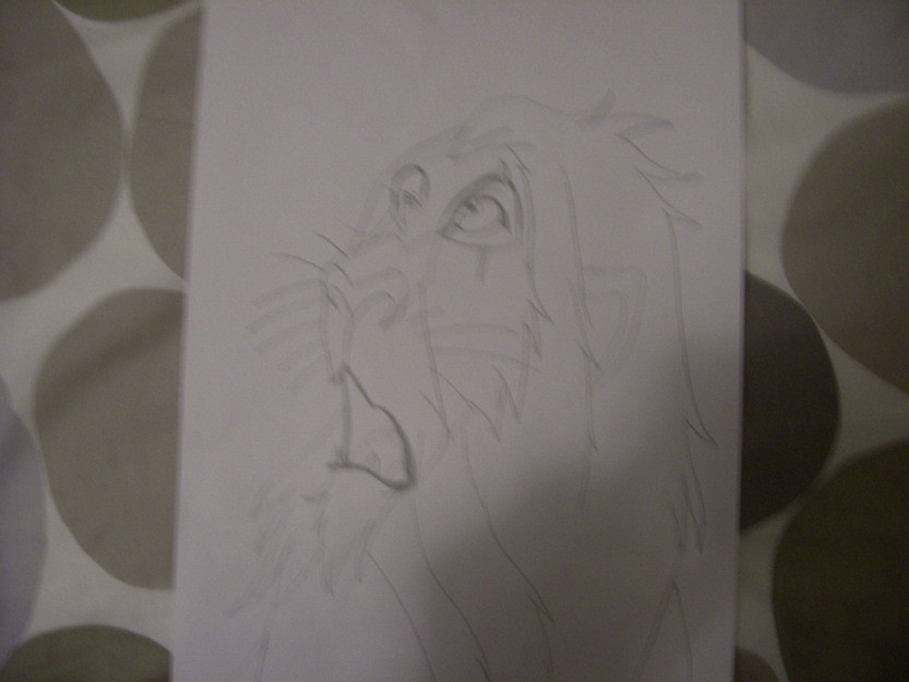 Scar dans le roi lion .