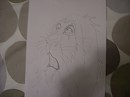 Scar dans le roi lion .