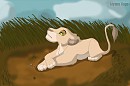 Mayla and Kopa's new daughter
