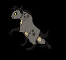 Shenzi