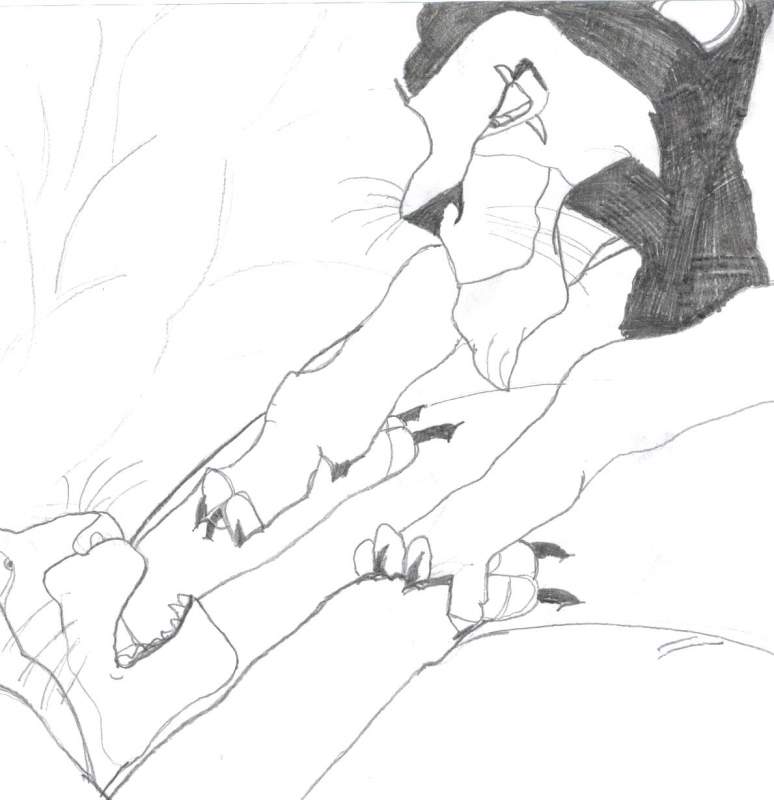 Long Live The King