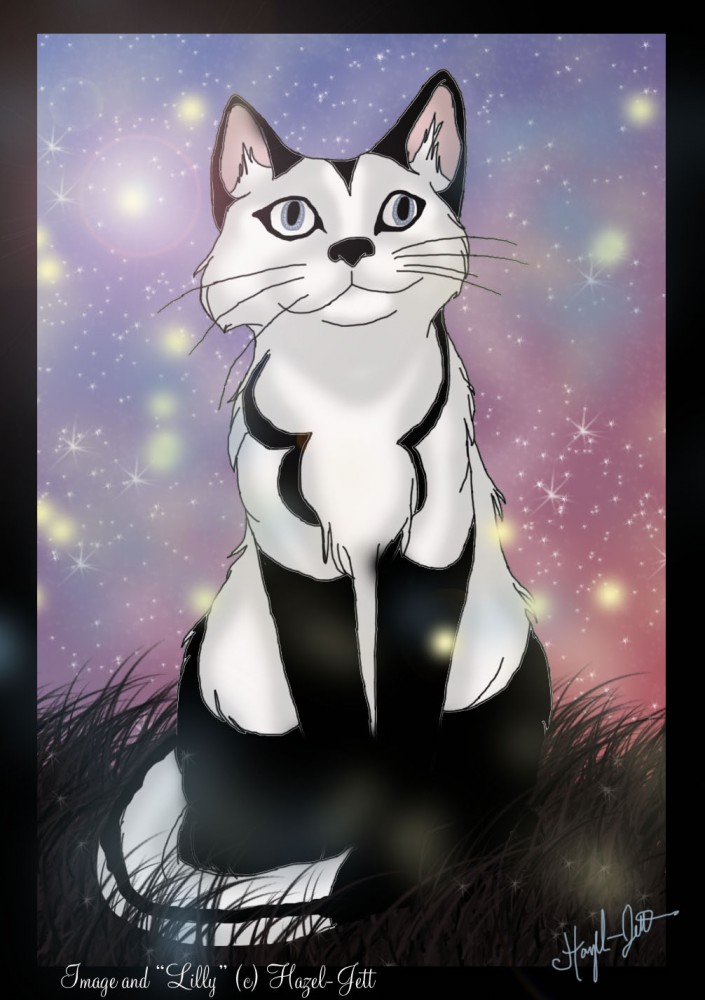 Lilly as a cat...