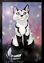 Lilly as a cat...