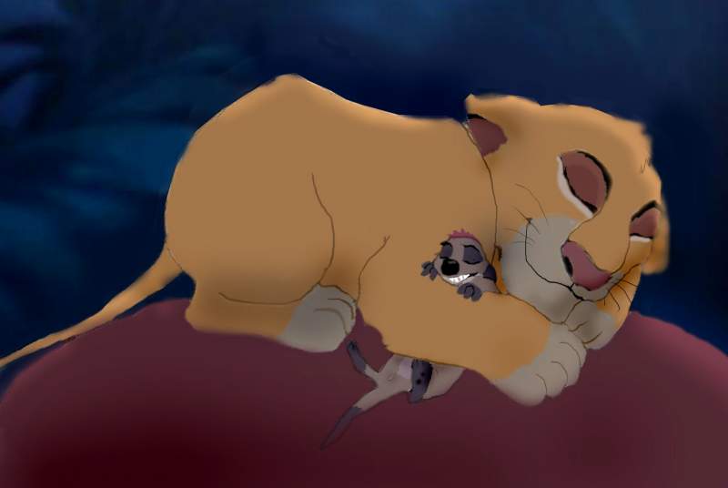 Simba sleeps