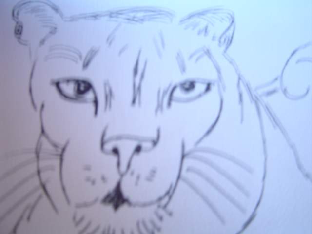 lionne