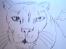 lionne