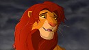 Simba is back !
