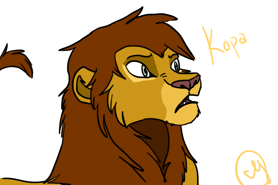 Kopa Design