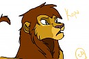 Kopa Design