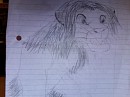 Teen Lion
