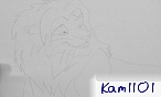 kam1101