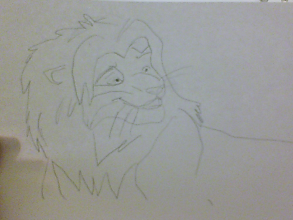 simba draft