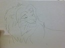 simba draft