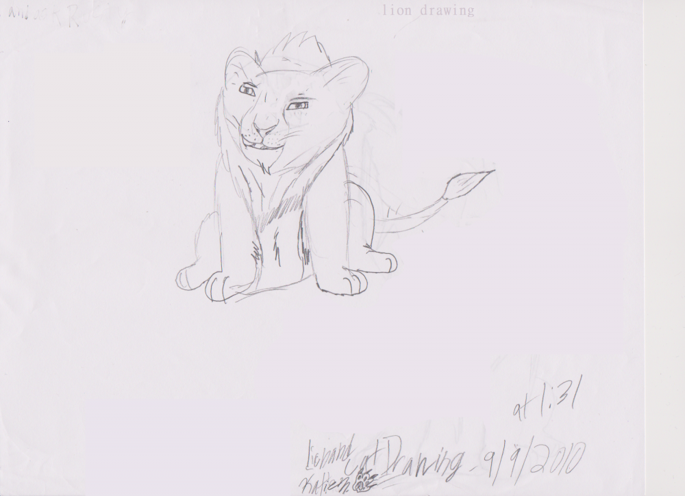 lion drawing