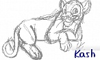 Kash